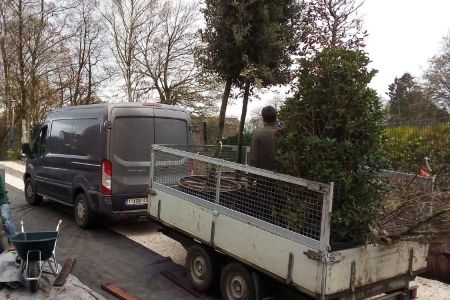 lesjardinsdemaxime dallage