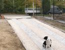lesjardinsdemaxime dallage