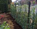 lesjardinsdemaxime plantations