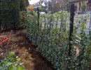 lesjardinsdemaxime plantations